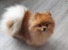 011_230218.jpeg
