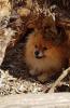 022_260421.jpeg