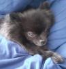 040_290621.jpeg