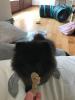 006_190918.jpeg