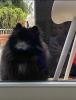 018_170622.jpeg