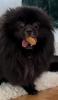 020_170622.jpeg