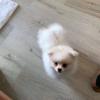 001_110921.jpeg