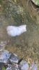 029_040722.jpeg