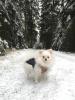030a_241222.jpeg