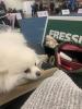 034_051123.jpeg