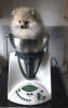 018_271121.jpeg