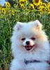 002_08722.jpeg
