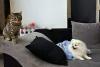 002_210522.jpeg