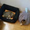 004_130622.jpeg
