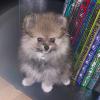 005_130622.jpeg