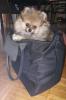 006_130622.jpeg