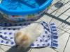015_110823.jpeg