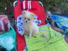 016_200823-1.jpeg