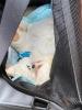 003_220723_-1.jpeg