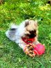 006_100823.jpeg