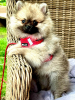 010_0823a.png