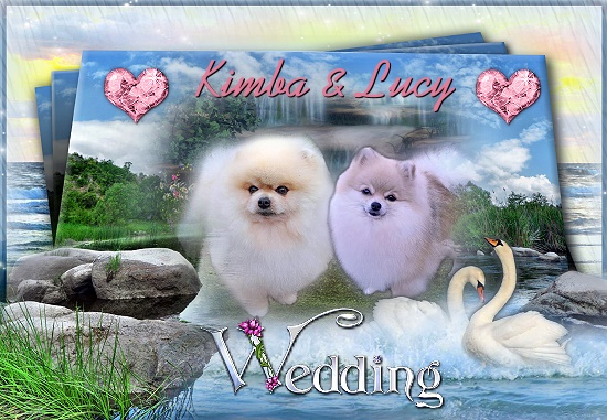 Bild "Menü 2:kimba_lucy.jpg"